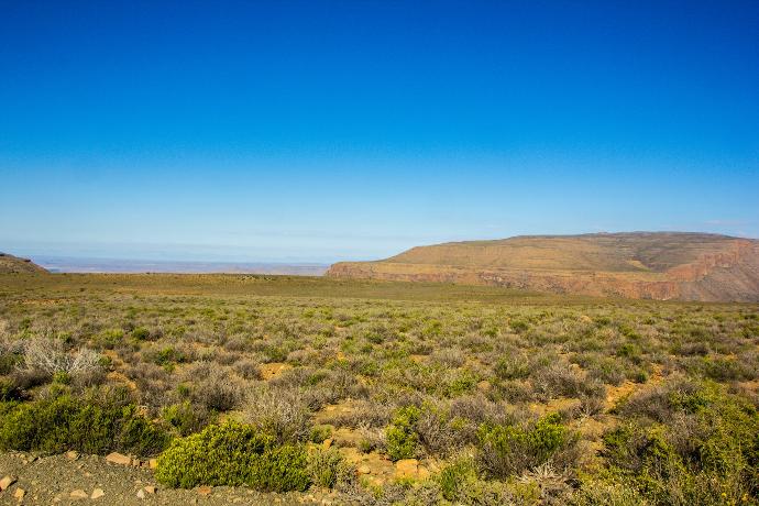 green grass field near brown mountain under blue sky during daytime